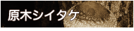 原木シイタケ