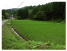 田植え後